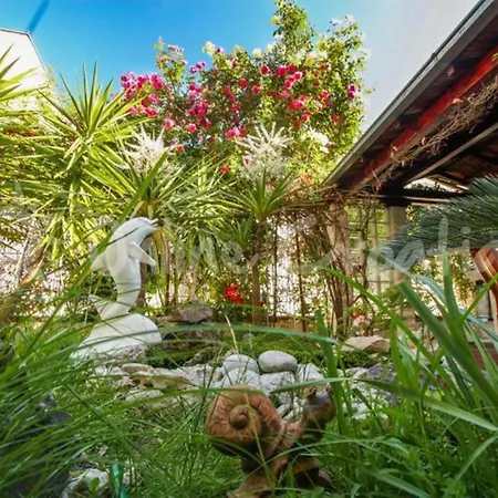 Duplex, 3 With Own Garden, To The Apartman