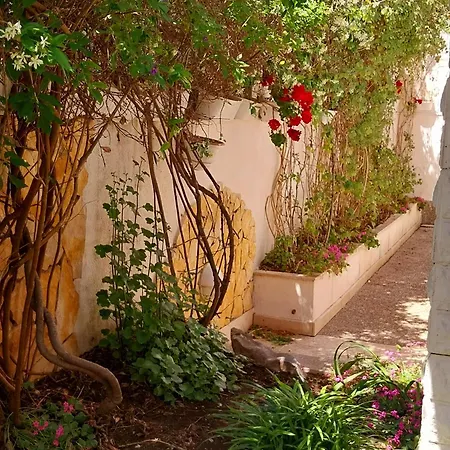 Appartamento Duplex 3 With Garden And Garage Near To