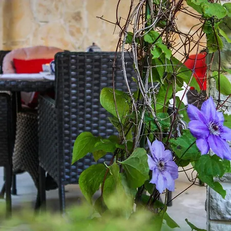 شقة Duplex 3 With Garden And Garage Near To *