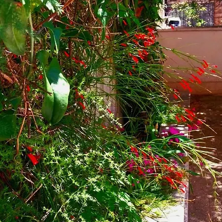 Duplex 3 With Garden And Garage Near To شقة