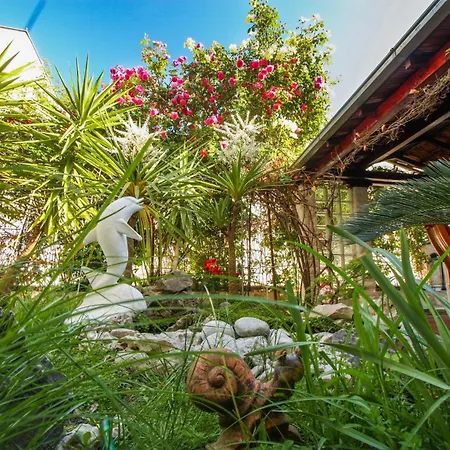 Duplex 3 With Garden And Garage Near To